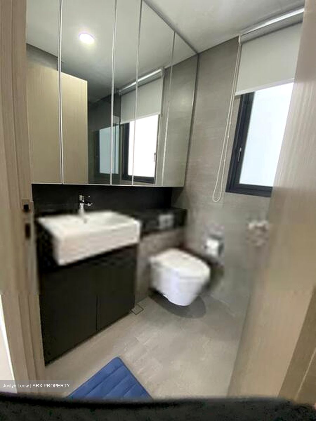 The Woodleigh Residences (D13), Apartment #409301681
